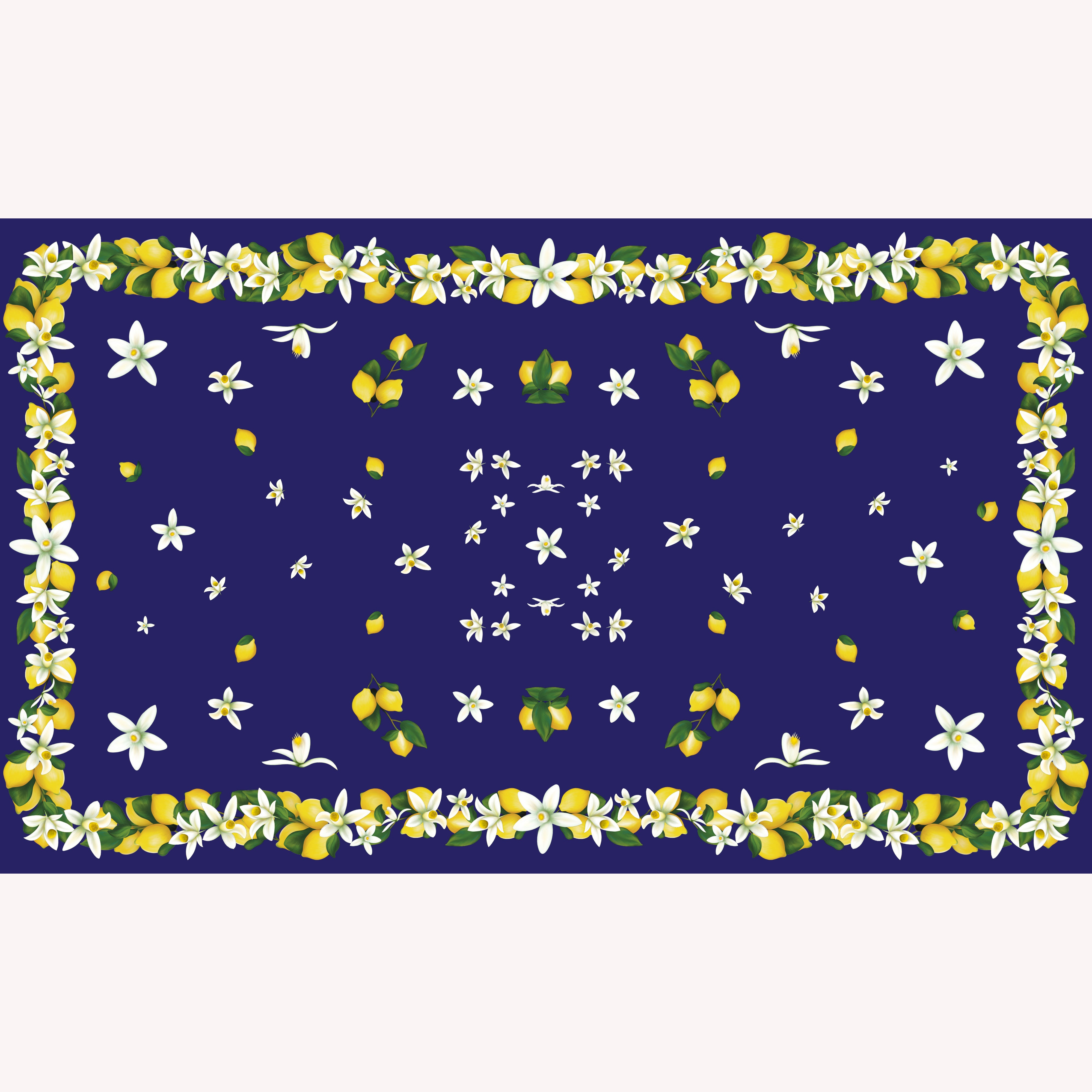 Capri Lemon 100% Cashmere Scarf in Navy Blue