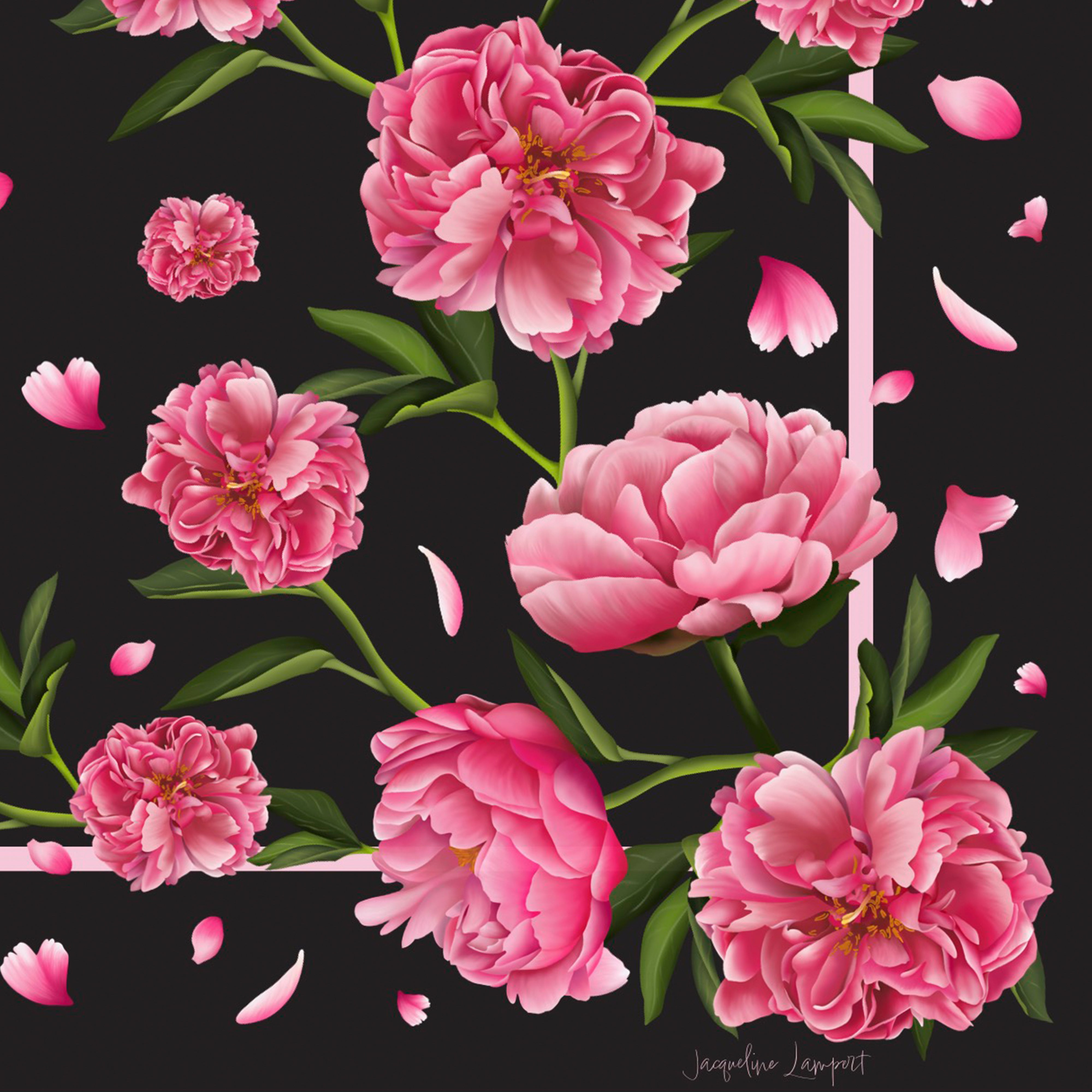 Peony Silk Scarf with Hand-Rolled Hem in Black