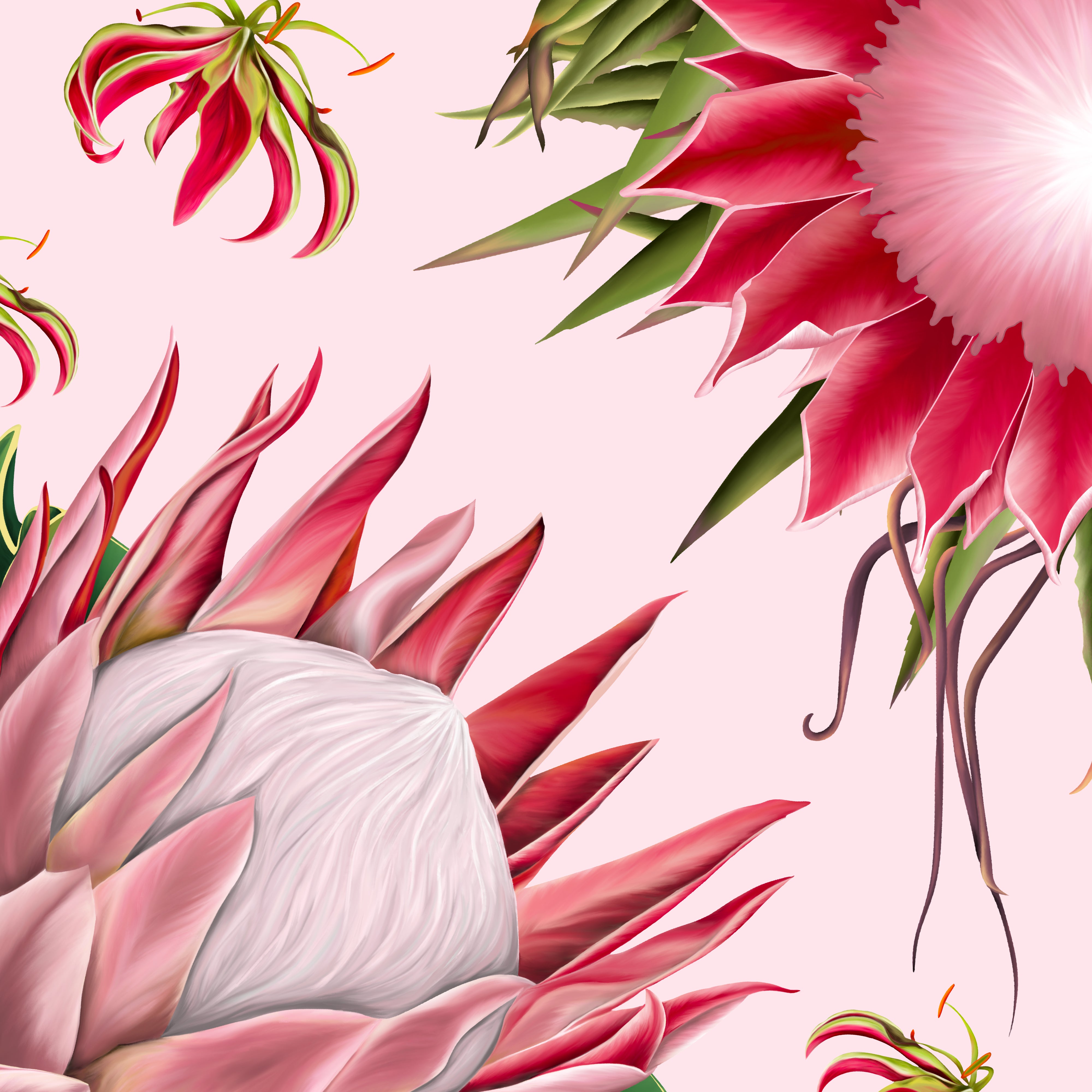 Protea Silk Scarf with Hand-Rolled Hem in Pale Pink