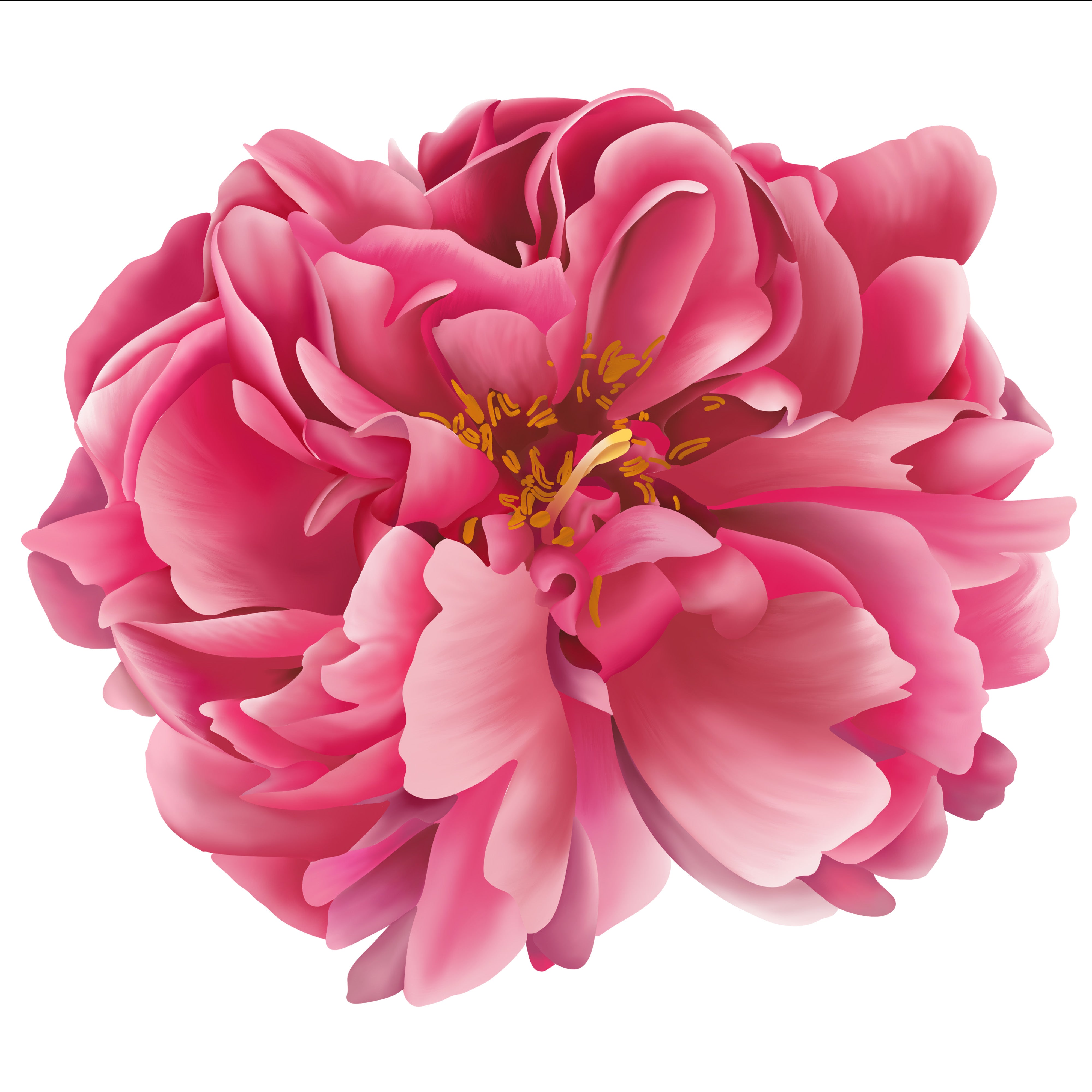 Peony Silk Scarfette in White
