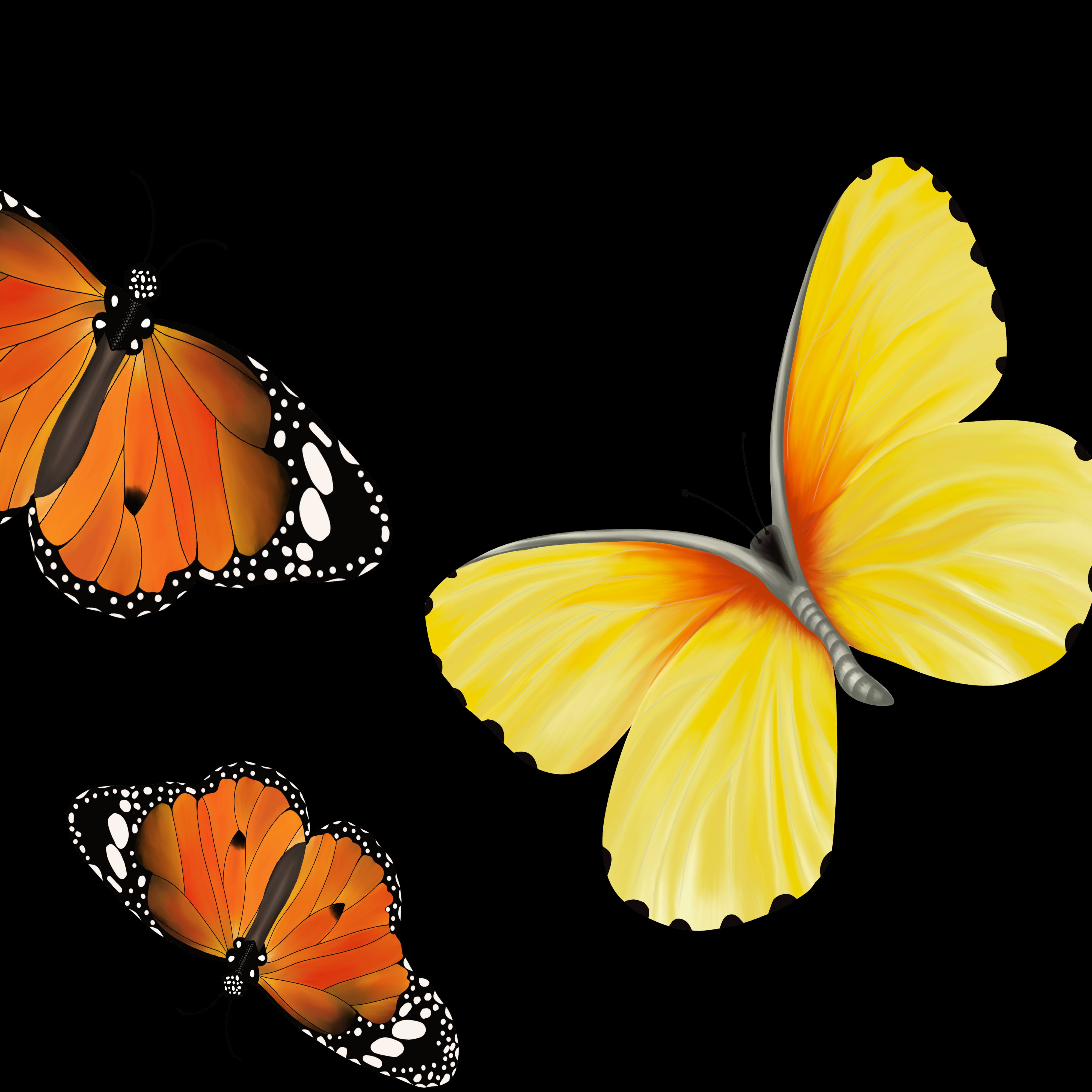 Safari Butterfly Silk Scarfette in Black & Leopard