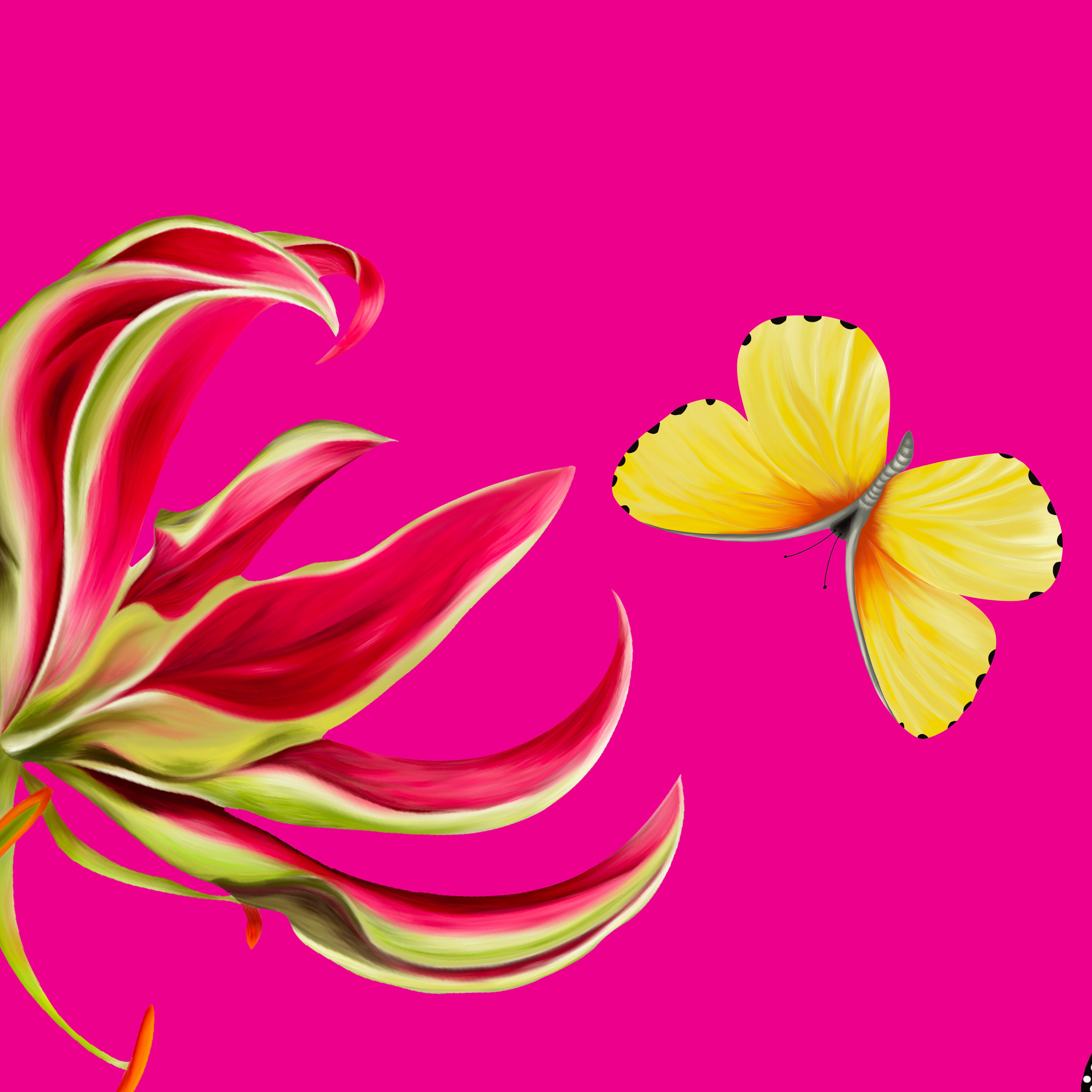 Safari Butterfly Silk Scarfette in Hot Pink & Leopard