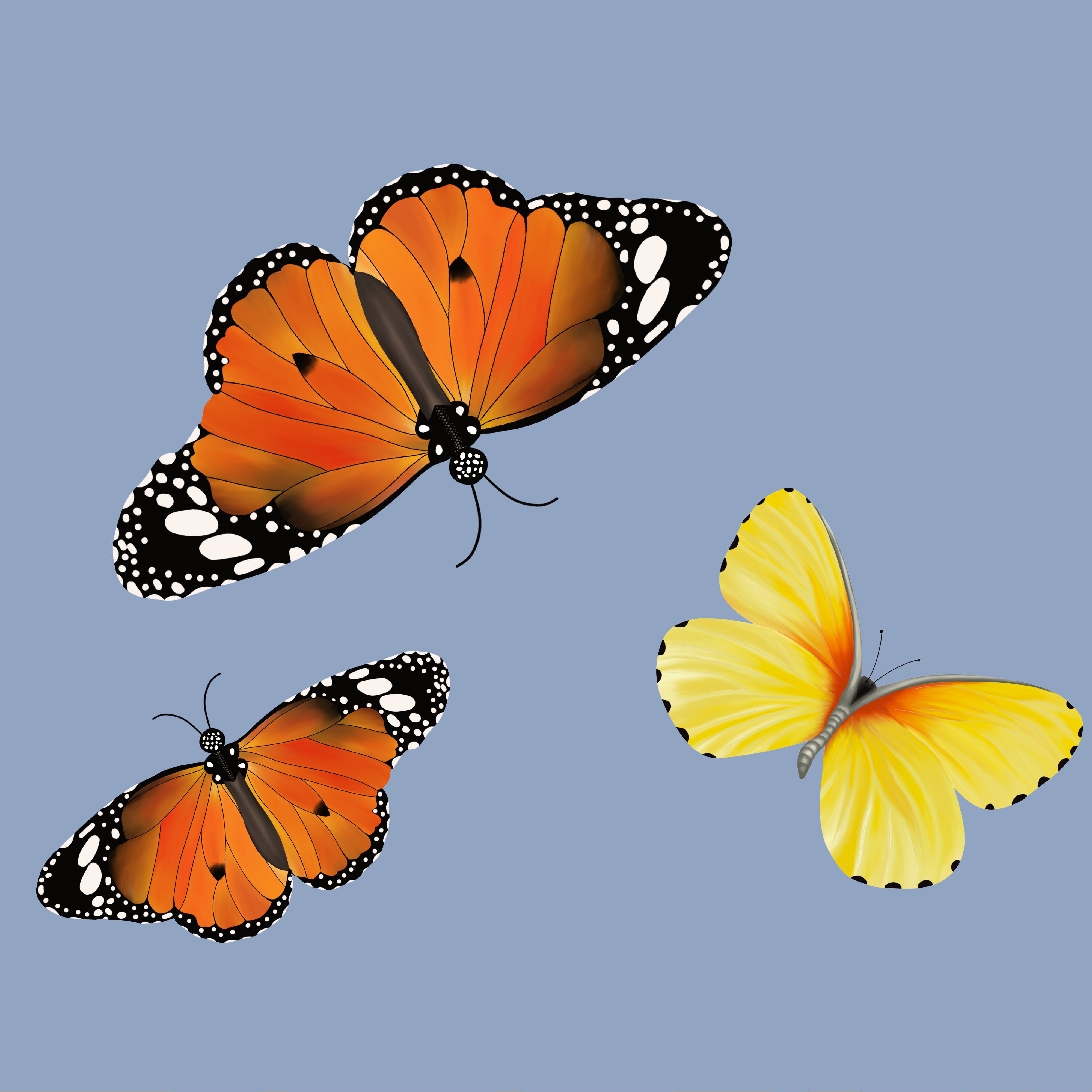 Safari Butterfly Silk Scarfette in Light Blue & Leopard