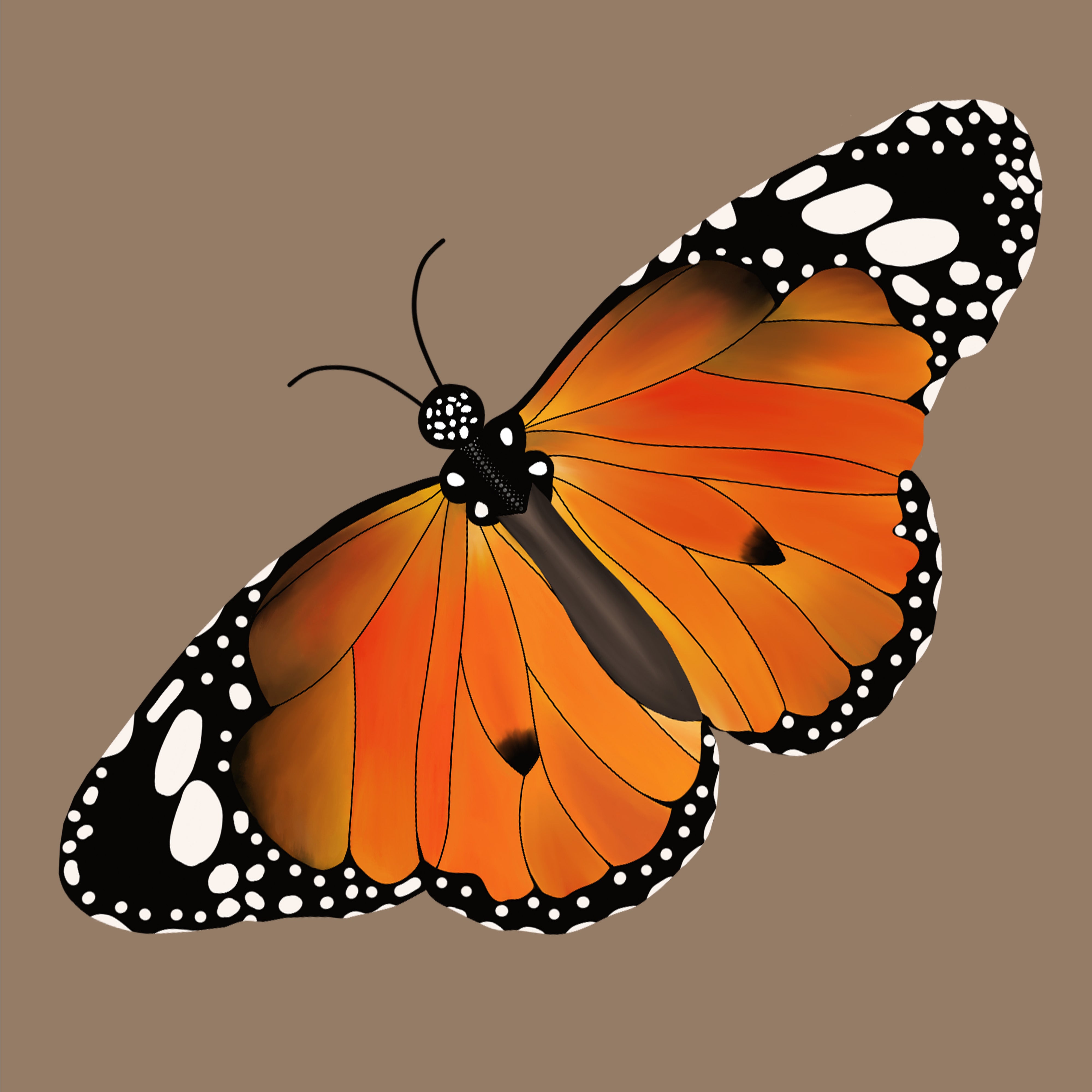 Safari Butterfly Silk Scarfette in Tan & Leopard